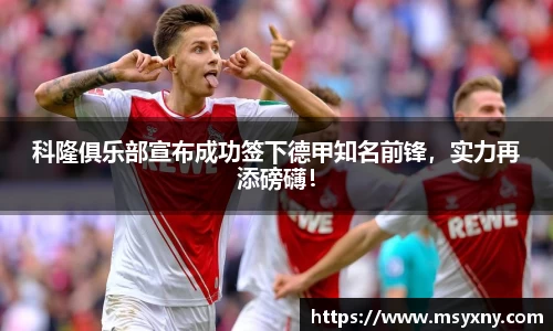 彩神VI官网