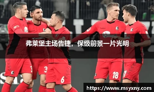 弗莱堡主场告捷,保级前景一片光明