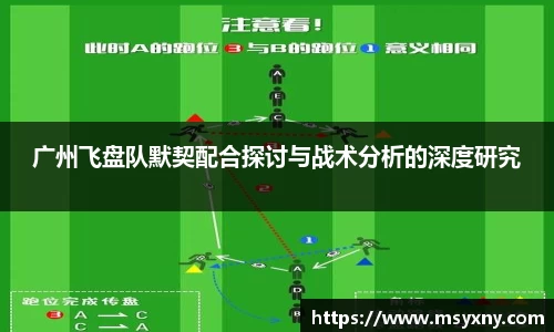 彩神VI首页
