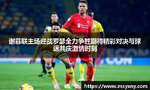 彩神VI官网