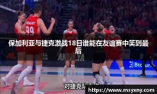 保加利亚与捷克激战18日谁能在友谊赛中笑到最后