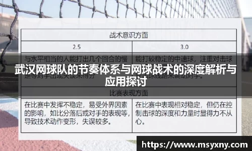 武汉网球队的节奏体系与网球战术的深度解析与应用探讨